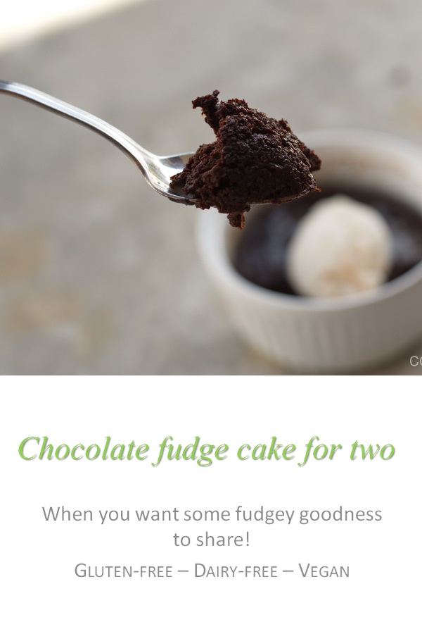 A rich, chocolate fudge cake that only makes enough for 2 servings.  Grain-free, dairy-free, egg-free and refined-sugar-free - you wouldn't believe it! #chocolatecake #cookathome #glutenfree #dairyfree #vegan