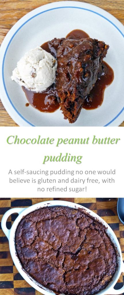 chocolate-peanut-butter-pudding