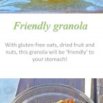 Friendly granola