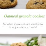 Oatmeal granola cookies