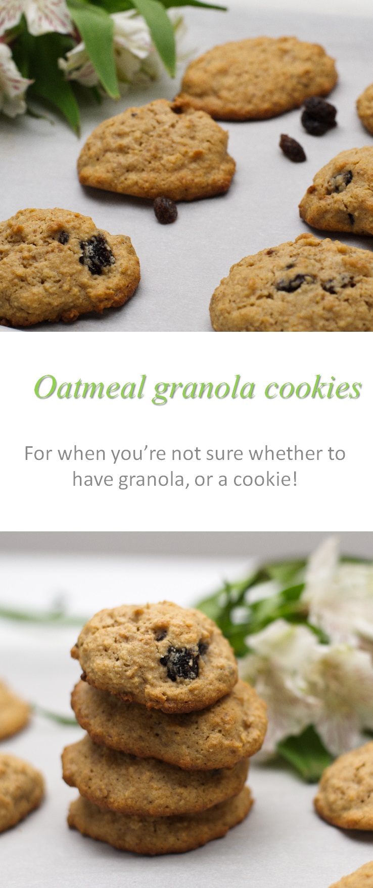 Oatmeal granola cookies - awesome to use up those little bits of granola at the end of the packet! #granola