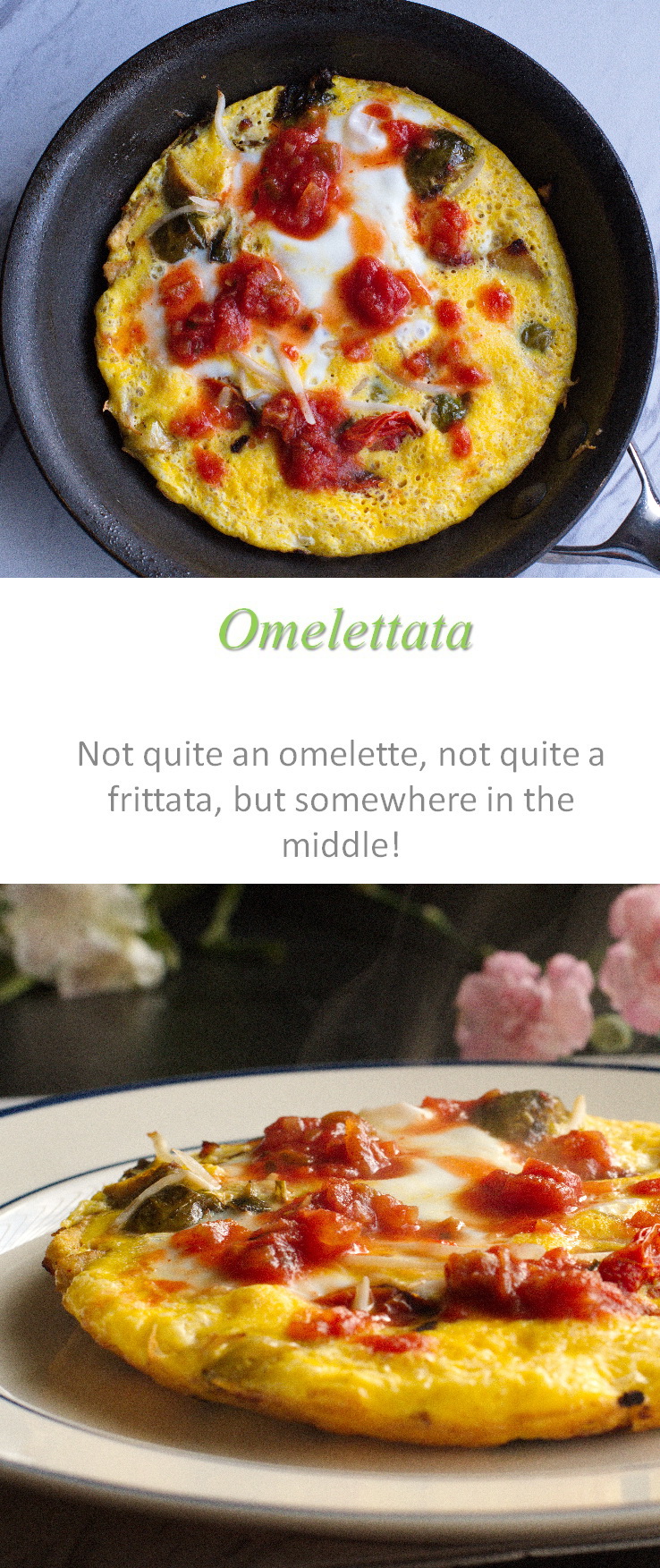 Somewhere between an omelette and a frittata, this omelettata is a tasty middle-ground, chock full of yummy veggies! #omelettata