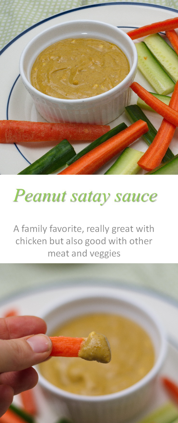 A yummy peanut satay sauce that can be used in stir-fries, as pizza sauces and any other dipping sauce you can think of! #satay