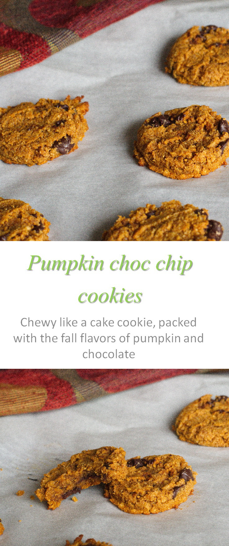 Gluten-free, dairy-free pumpkin chocolate chip cookies that take all the fall flavors of pumpkin and chocolate and combines them into deliciousness in every bite! #pumpkin