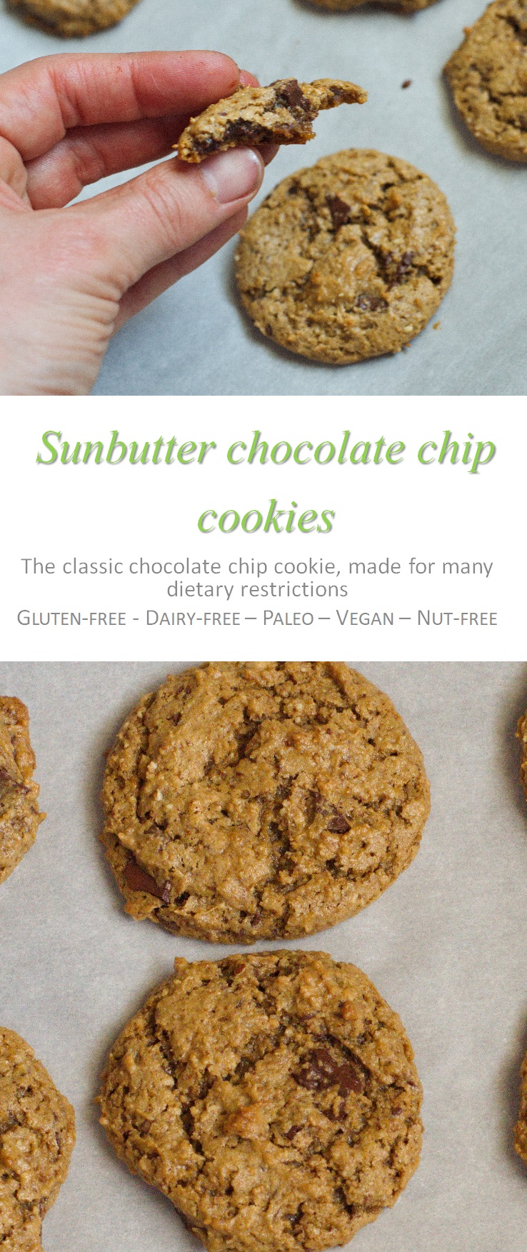 These sunbutter chocolate chip cookies are nut-free, and vegan, but you'd never know it from the awesome texture and flavor! #sunbutter #cookies #glutenfree #dairyfree #vegan #norefinedsugar #paleo