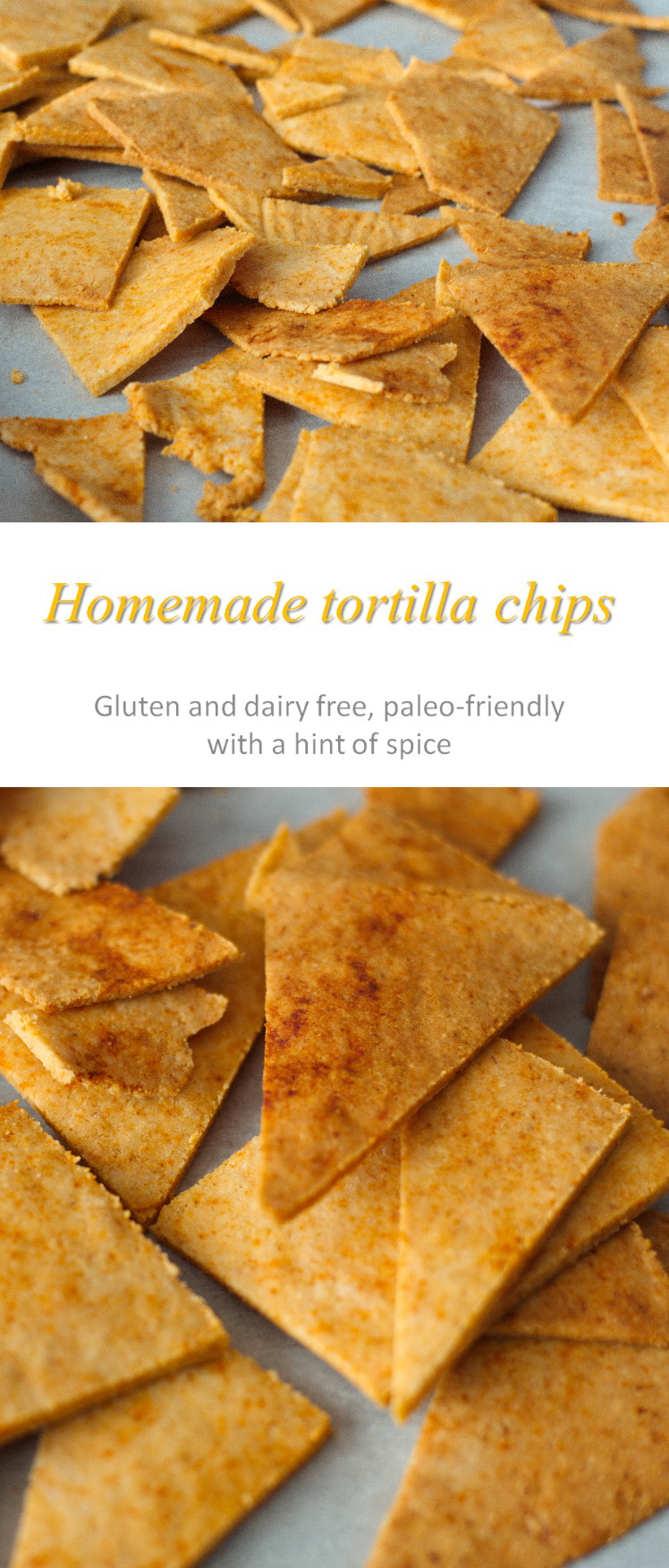 Healthy tortilla chips that are grain-free, gluten-free and Paleo-friendly. Use for dipping in salsa, as chips for nachos or just in soups as you please! #tortillachips