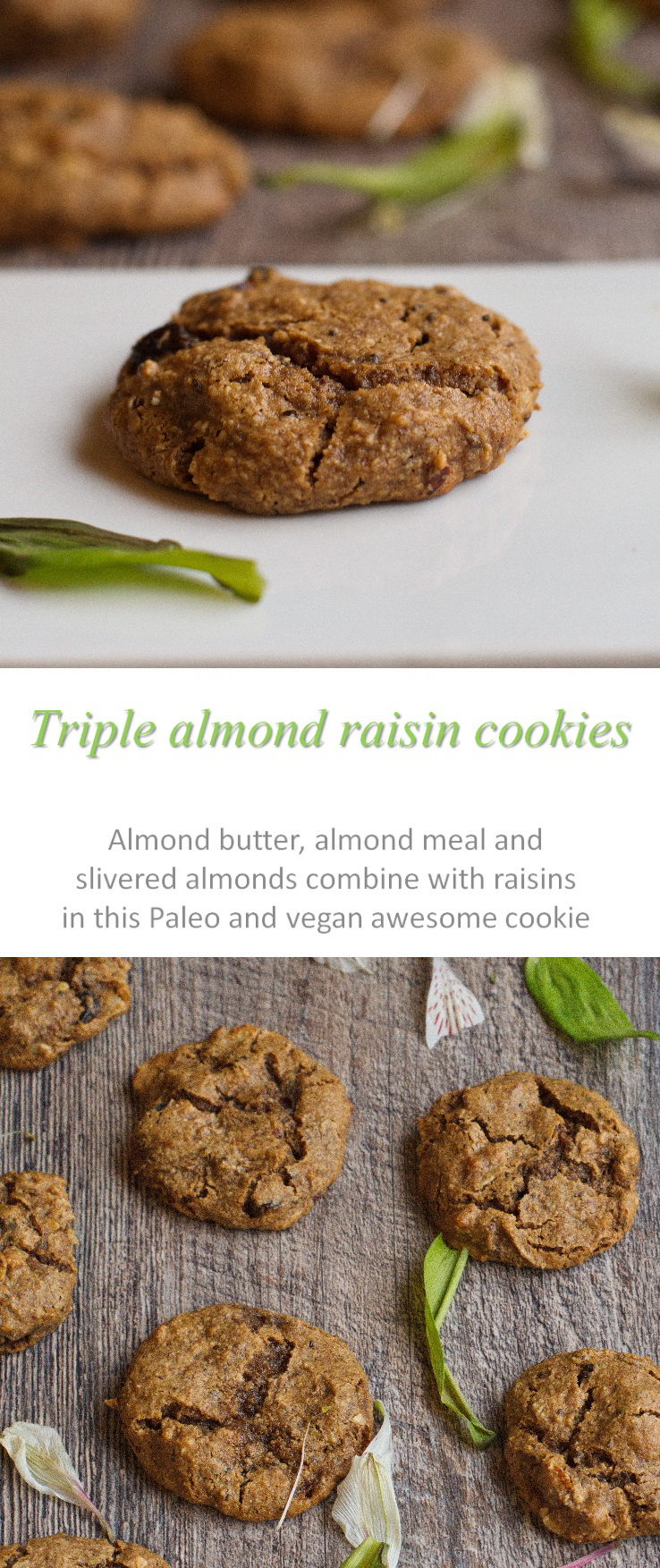 Almond butter, almond meal and slivered almonds combine with raisins to give these Paleo and vegan-friendly triple almond raisin cookies an amazing taste and texture #almond